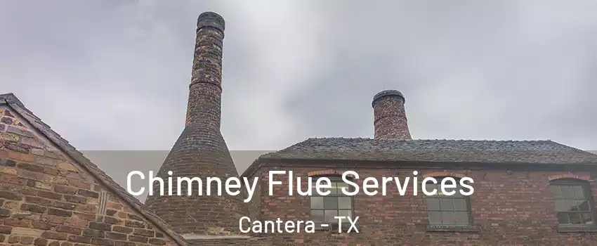 Chimney Flue Services Cantera - TX