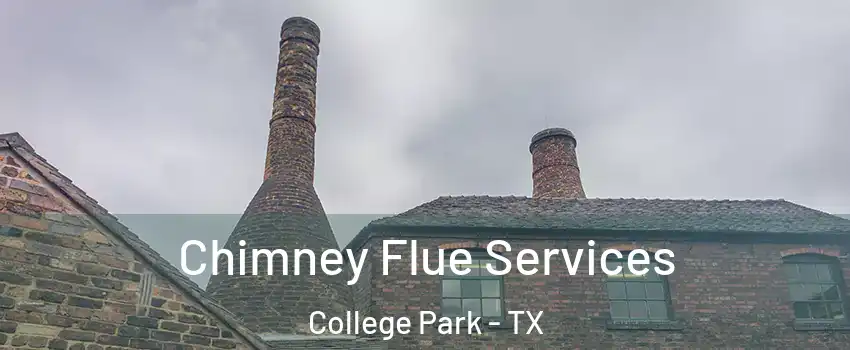 Chimney Flue Services College Park - TX