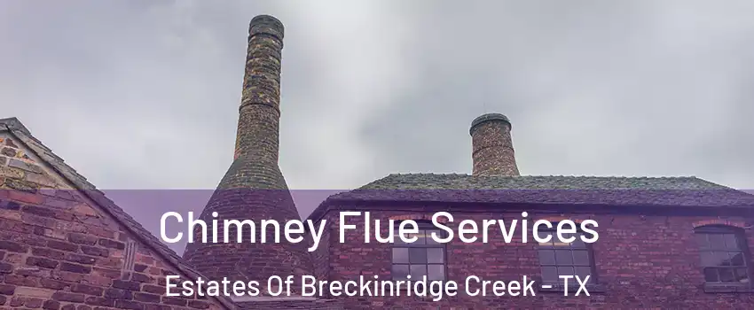 Chimney Flue Services Estates Of Breckinridge Creek - TX