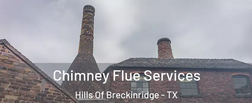 Chimney Flue Services Hills Of Breckinridge - TX