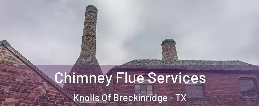 Chimney Flue Services Knolls Of Breckinridge - TX