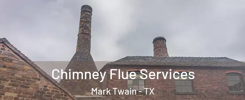Chimney Flue Services Mark Twain - TX