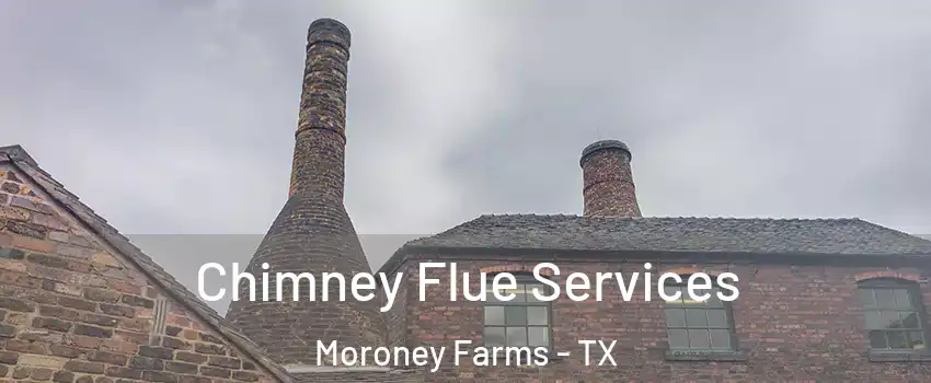 Chimney Flue Services Moroney Farms - TX