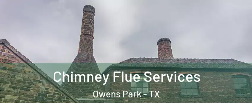 Chimney Flue Services Owens Park - TX