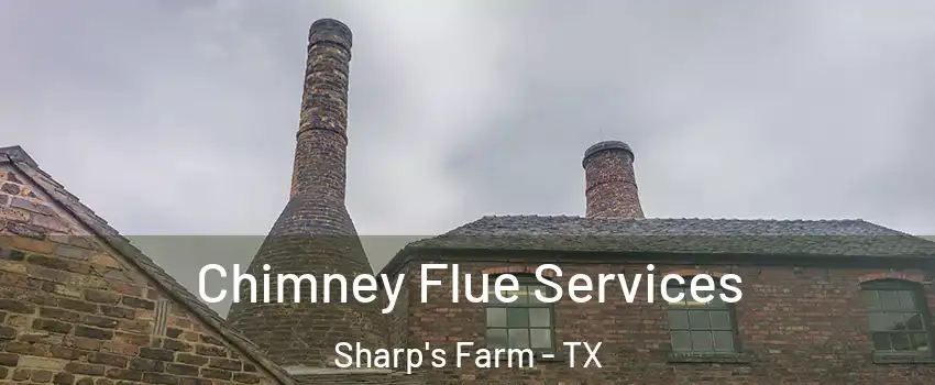 Chimney Flue Services Sharp's Farm - TX