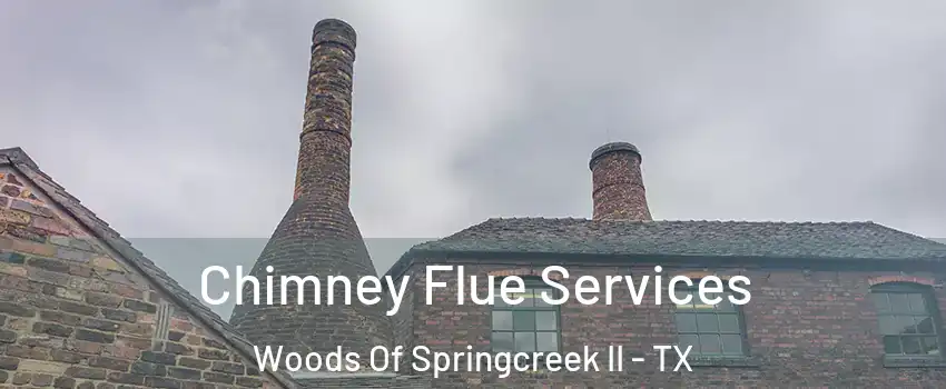 Chimney Flue Services Woods Of Springcreek II - TX
