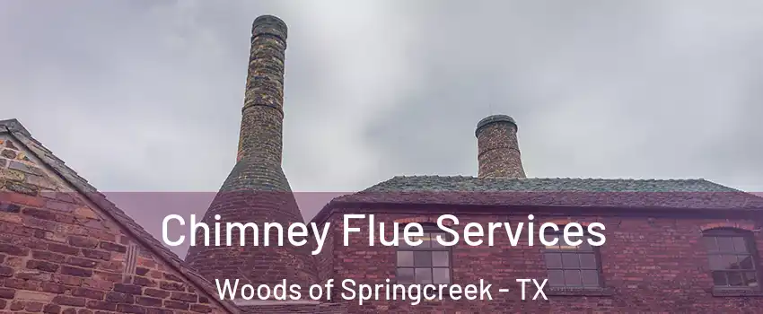 Chimney Flue Services Woods of Springcreek - TX