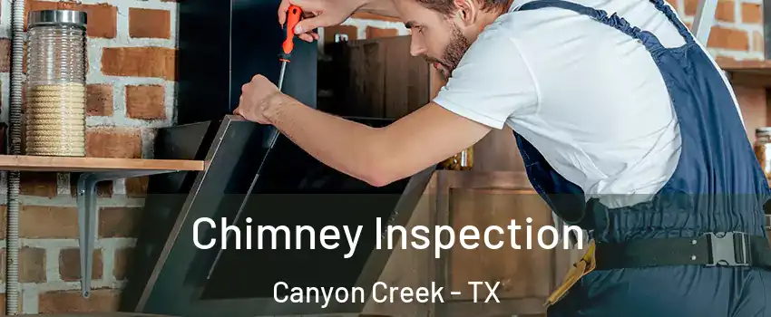 Chimney Inspection Canyon Creek - TX