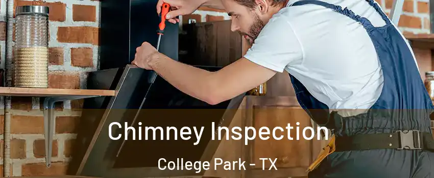 Chimney Inspection College Park - TX