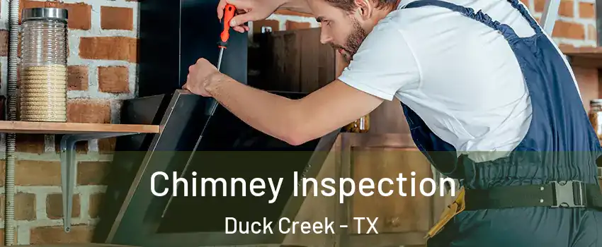 Chimney Inspection Duck Creek - TX
