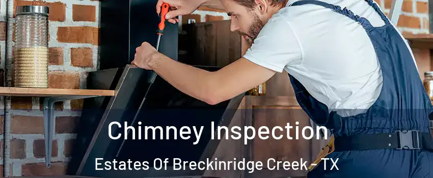 Chimney Inspection Estates Of Breckinridge Creek - TX