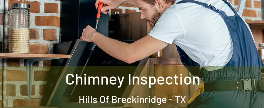 Chimney Inspection Hills Of Breckinridge - TX