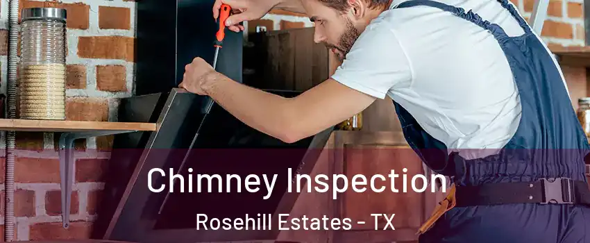 Chimney Inspection Rosehill Estates - TX