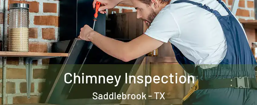 Chimney Inspection Saddlebrook - TX