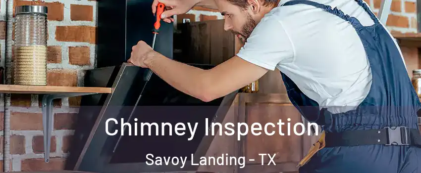 Chimney Inspection Savoy Landing - TX