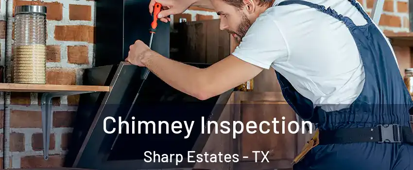 Chimney Inspection Sharp Estates - TX