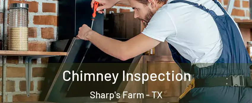 Chimney Inspection Sharp's Farm - TX