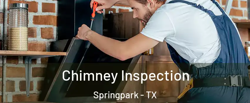 Chimney Inspection Springpark - TX
