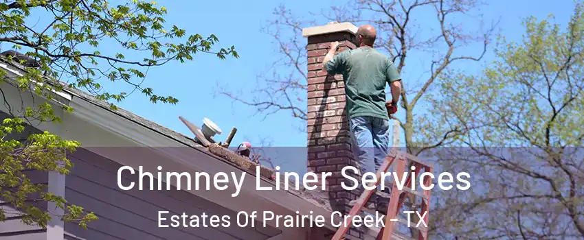Chimney Liner Services Estates Of Prairie Creek - TX
