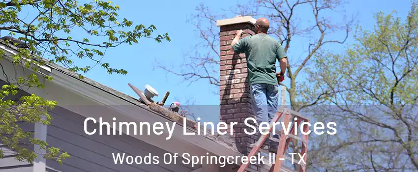 Chimney Liner Services Woods Of Springcreek II - TX