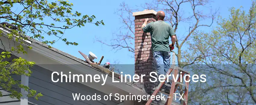 Chimney Liner Services Woods of Springcreek - TX