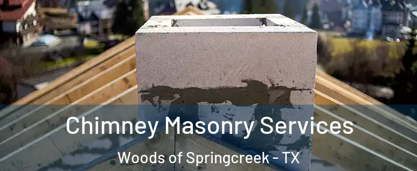 Chimney Masonry Services Woods of Springcreek - TX