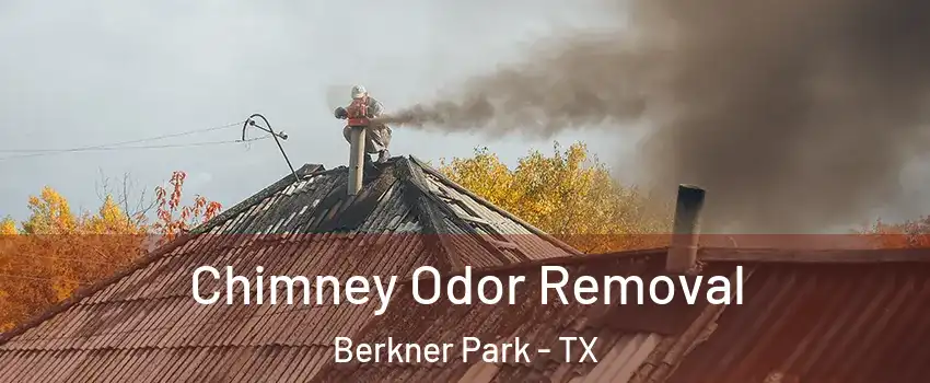 Chimney Odor Removal Berkner Park - TX