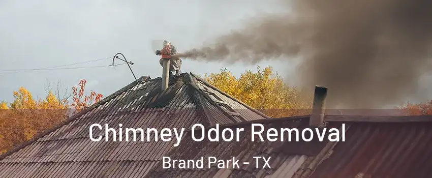 Chimney Odor Removal Brand Park - TX