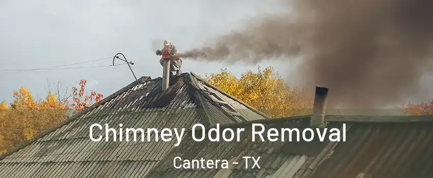 Chimney Odor Removal Cantera - TX