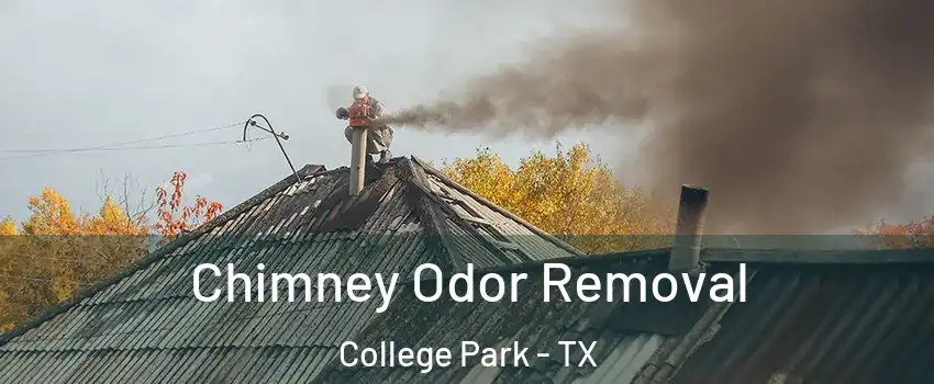 Chimney Odor Removal College Park - TX