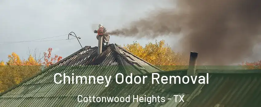 Chimney Odor Removal Cottonwood Heights - TX
