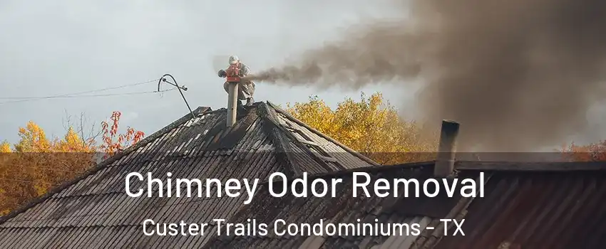 Chimney Odor Removal Custer Trails Condominiums - TX