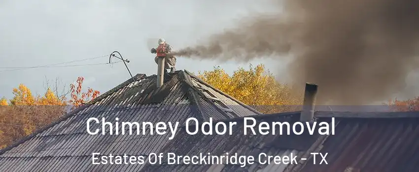 Chimney Odor Removal Estates Of Breckinridge Creek - TX