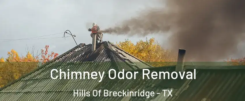 Chimney Odor Removal Hills Of Breckinridge - TX