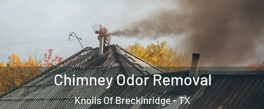 Chimney Odor Removal Knolls Of Breckinridge - TX