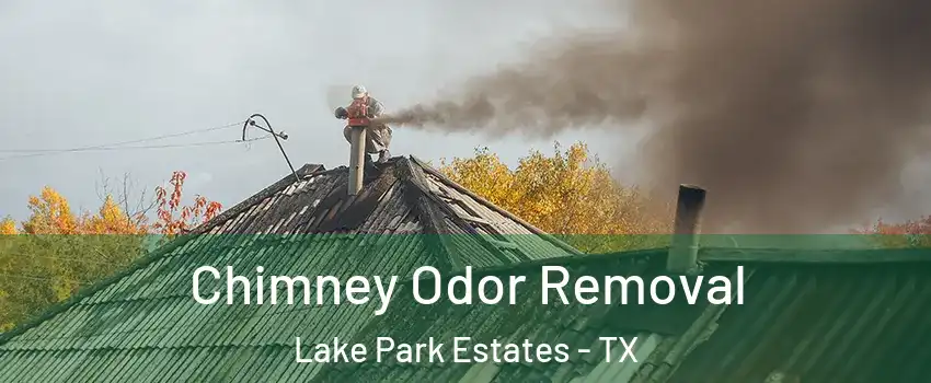 Chimney Odor Removal Lake Park Estates - TX
