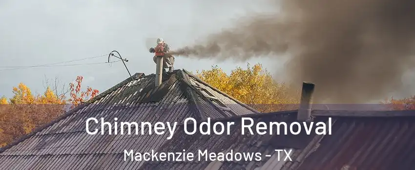 Chimney Odor Removal Mackenzie Meadows - TX