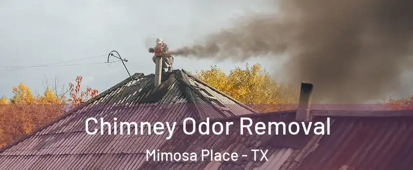 Chimney Odor Removal Mimosa Place - TX