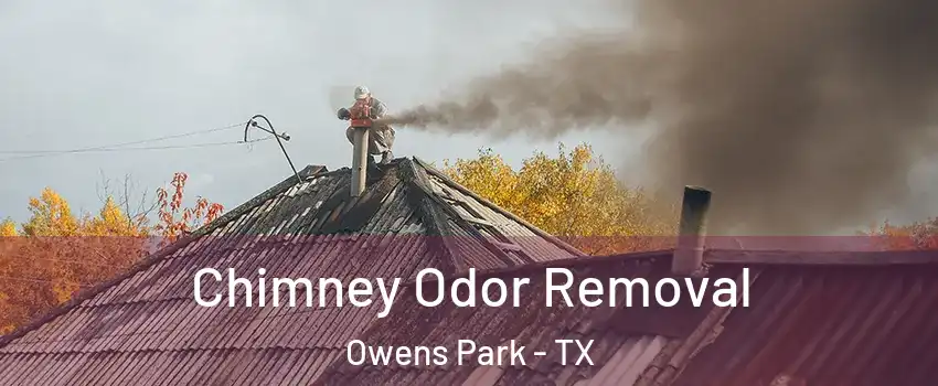 Chimney Odor Removal Owens Park - TX