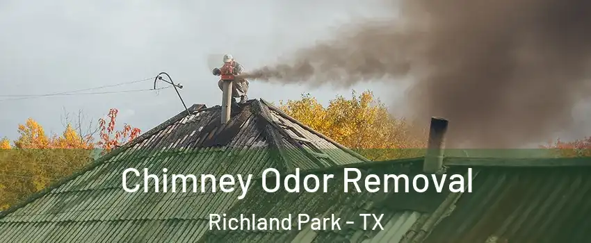 Chimney Odor Removal Richland Park - TX