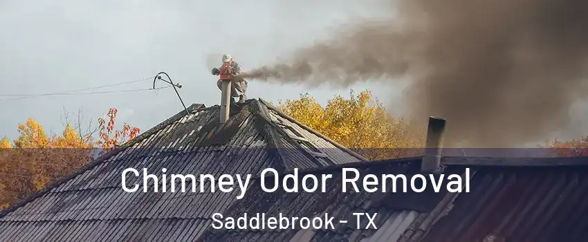 Chimney Odor Removal Saddlebrook - TX