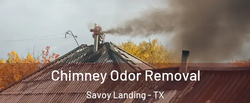 Chimney Odor Removal Savoy Landing - TX