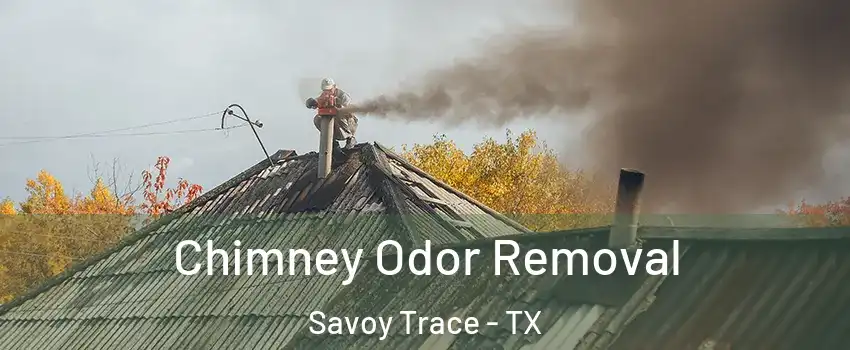 Chimney Odor Removal Savoy Trace - TX