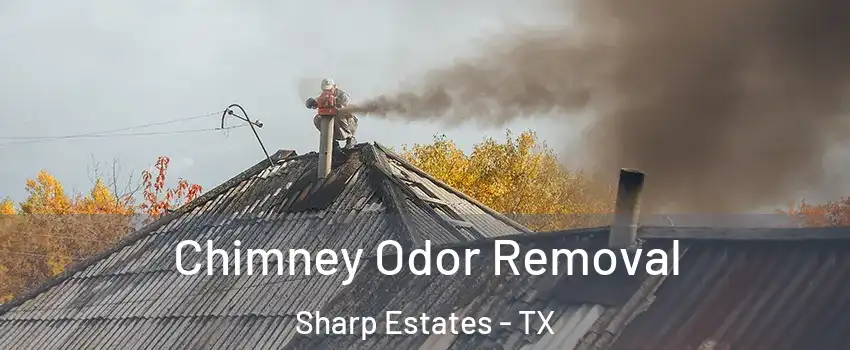Chimney Odor Removal Sharp Estates - TX