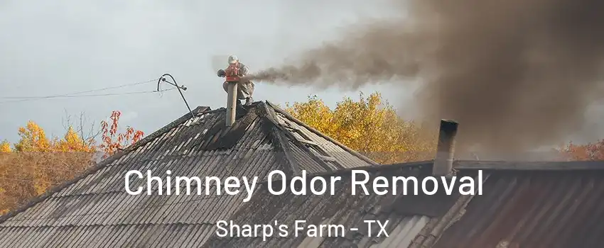 Chimney Odor Removal Sharp's Farm - TX