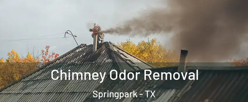 Chimney Odor Removal Springpark - TX