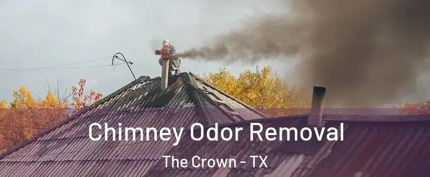 Chimney Odor Removal The Crown - TX