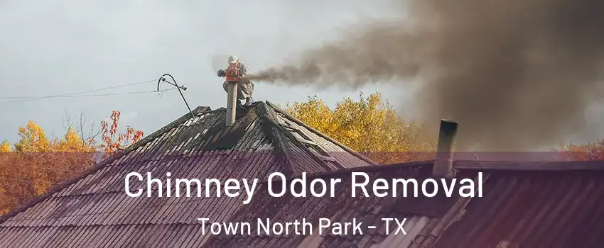 Chimney Odor Removal Town North Park - TX