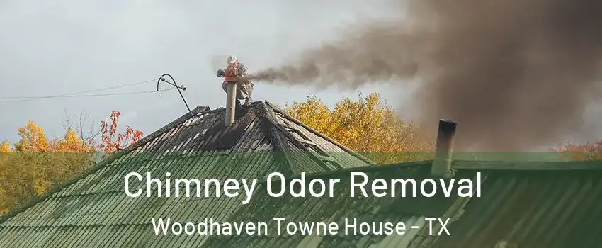 Chimney Odor Removal Woodhaven Towne House - TX