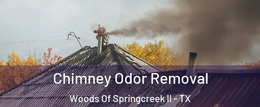 Chimney Odor Removal Woods Of Springcreek II - TX